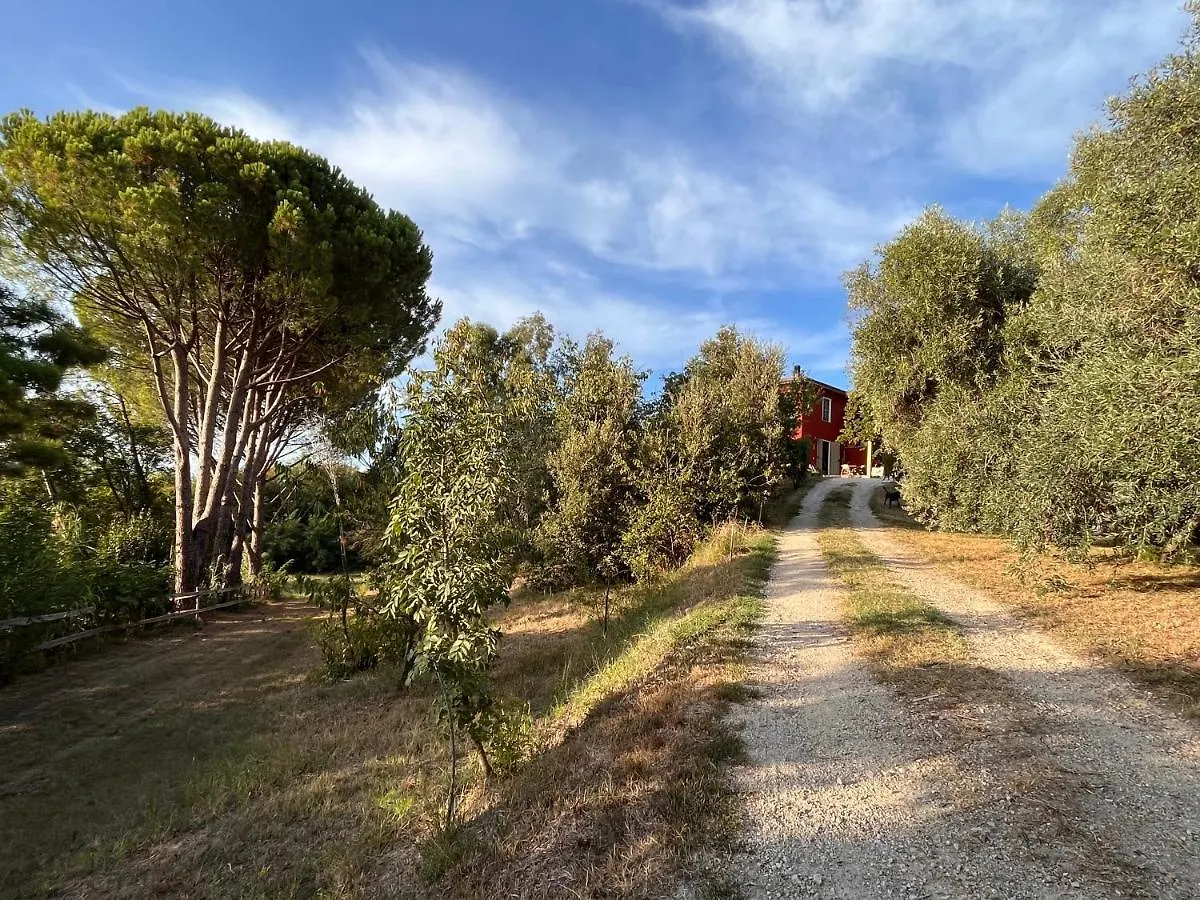 Usigliano Agriturismo Podere Orzale Hospitality & Quarter Horses