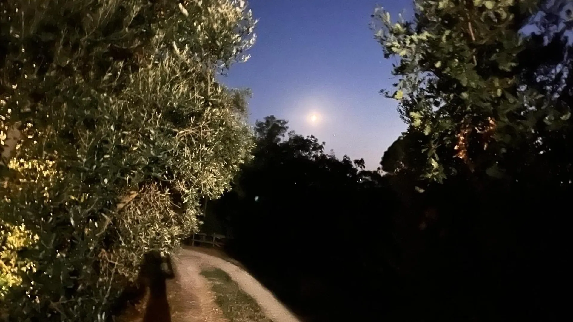 Usigliano Agriturismo Podere Orzale Hospitality & Quarter Horses فندق مبيت وإفطار