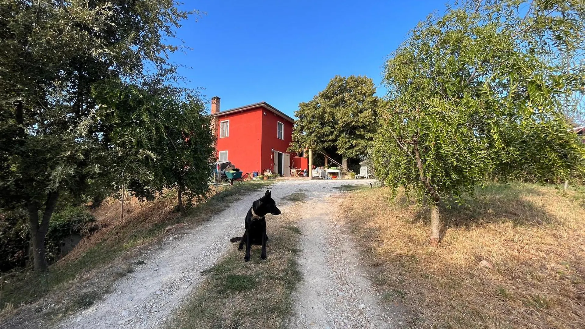 فندق مبيت وإفطار Usigliano Agriturismo Podere Orzale Hospitality & Quarter Horses