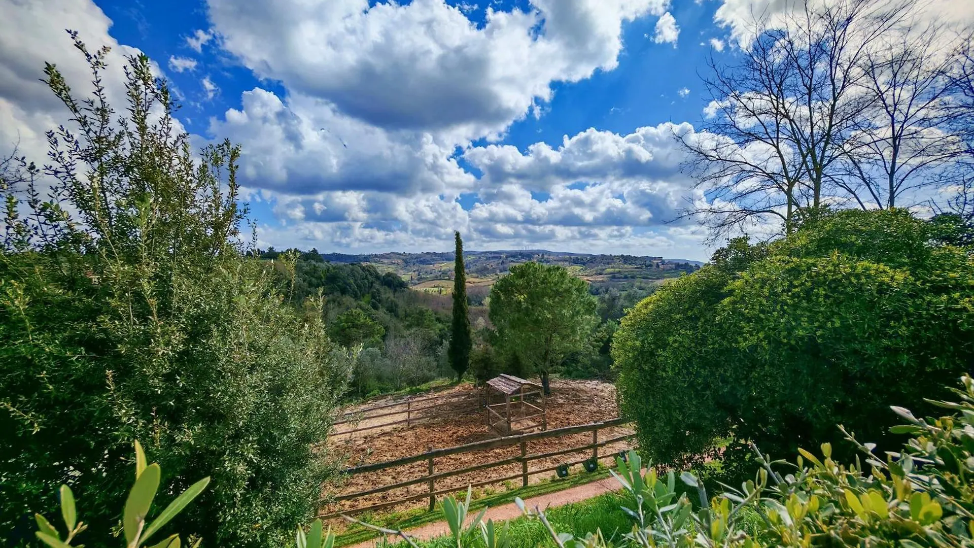 Usigliano Agriturismo Podere Orzale Hospitality & Quarter Horses فندق مبيت وإفطار