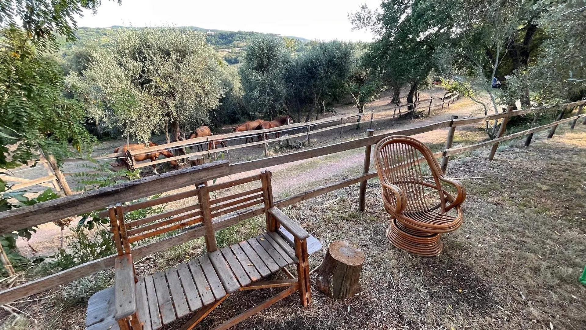 Agriturismo Podere Orzale Hospitality & Quarter Horses Usigliano Italien